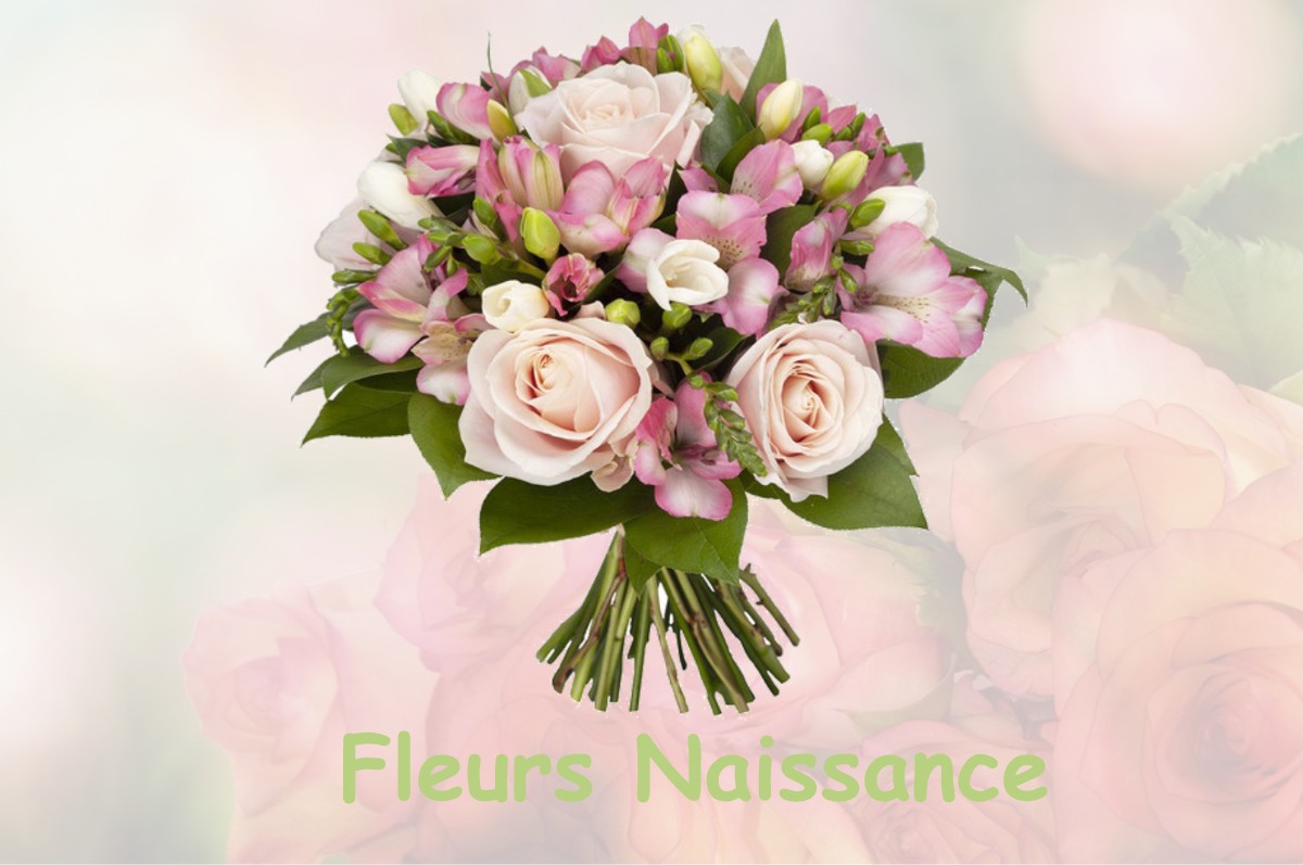 fleurs naissance LARGILLAY-MARSONNAY