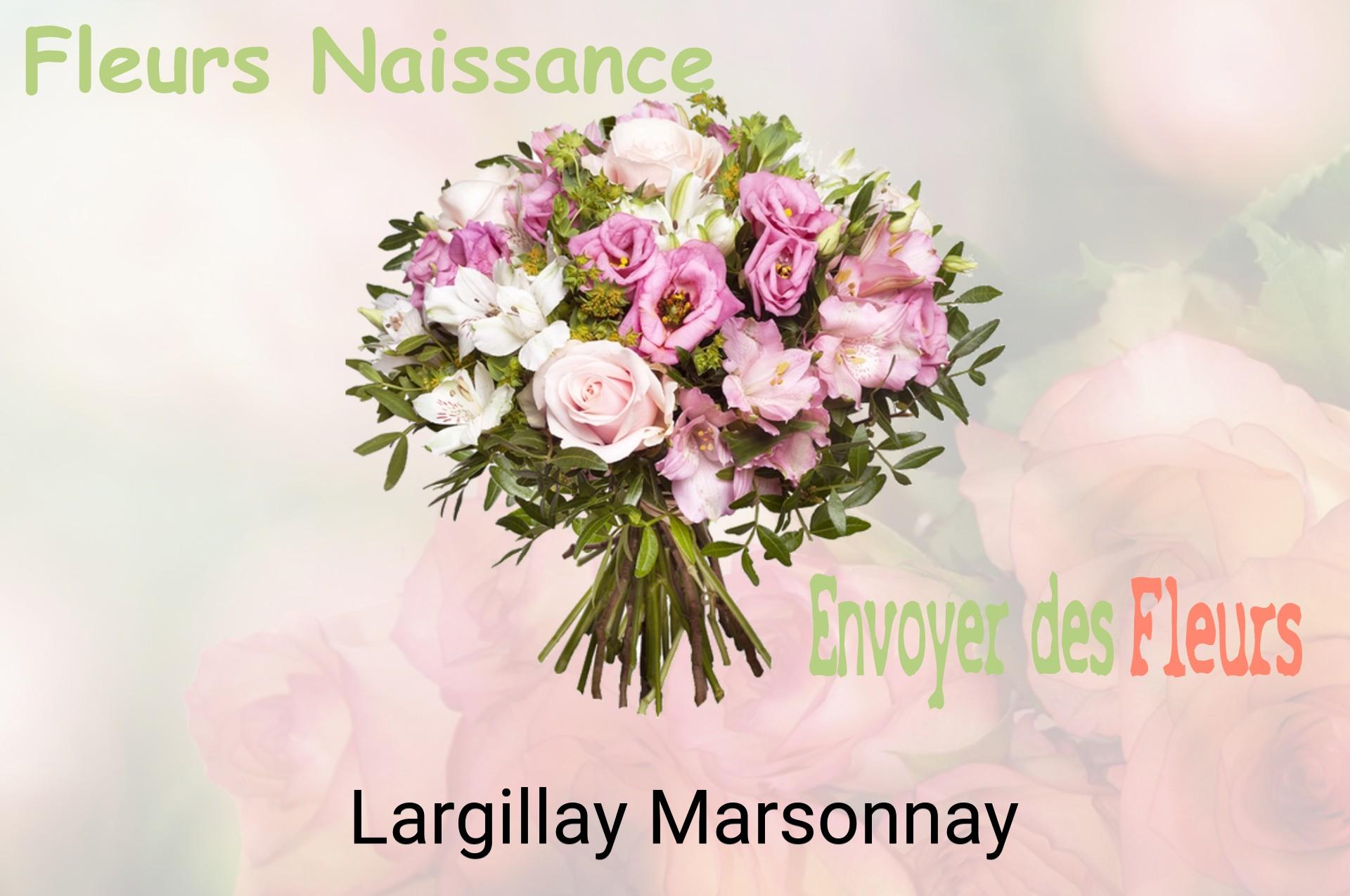 Bouquet de fleurs de naissance livré à Largillay-Marsonnay